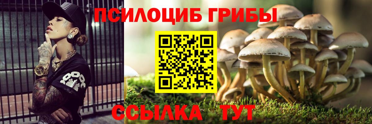 Псилоцибиновые грибы мицелий  Вход с VPN  Борзя 